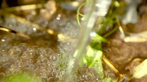 Realistic water splash Stock Footage 164923239