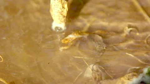 Realistic water splash Stock Footage 164923455