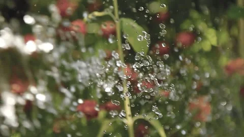 Realistic water splash Stock Footage 164924281