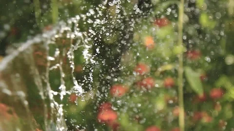 Realistic water splash Stock Footage 164924296