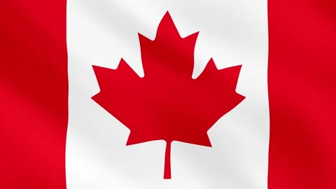 Realistic waving Canada flag. Slow motion. Close up. Flag background. 29,97 fps Stock Footage 172194800