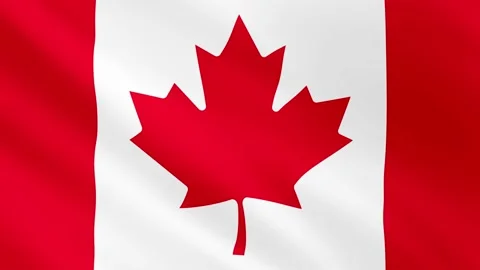 Realistic waving Canada flag. Slow motion. Close up. Flag background. 25 fps Stock Footage 172194801