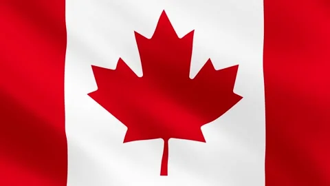 Realistic waving Canada flag. Slow motion. Close up. Flag background. 23,98 fps Stock Footage 172194802