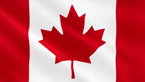 Realistic waving Canada flag. Slow motion. Close up. Flag background. 59,94 fps Stock Footage 172194846