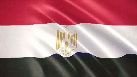 Realistic waving flag of Egypt. Seamless Loop. Vídeos de archivo 172139190