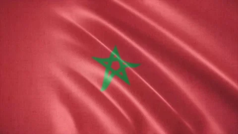 Realistic waving flag of Morocco. Seamless Loop. Stock Footage 172139621