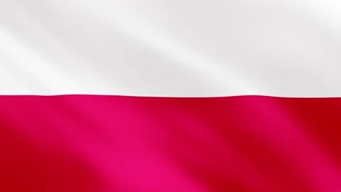 Realistic waving Poland flag. Slow motion. Close up. Flag background. 29,97 fps Stock Footage 172292897