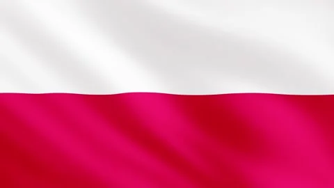 Realistic waving Poland flag. Slow motion. Close up. Flag background. 23,98 fps Stock Footage 172292899