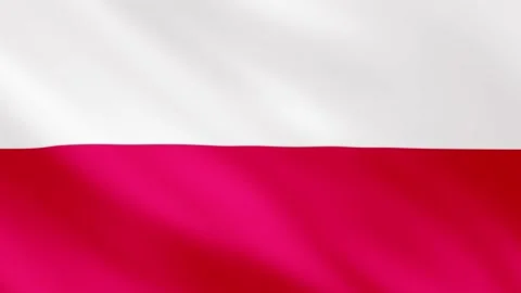 Realistic waving Poland flag. Slow motion. Close up. Flag background. 59,94 fps Stock Footage 172292907