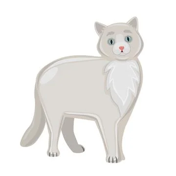 Realistic white cat on a white background - Vector Stock Illustration