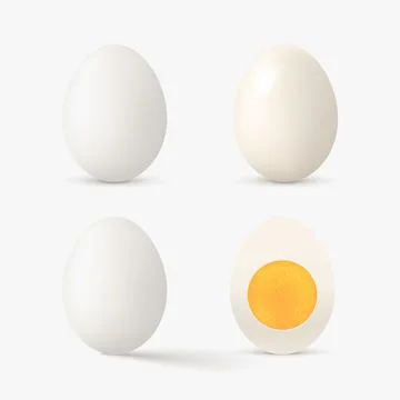 Realistic white color egg set on white Stock Illustration