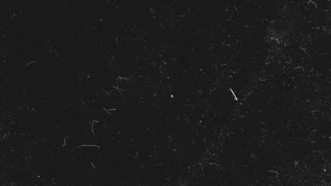 Realistic White Dust Particles Floating on Dark Abstract Background Stock Footage 333367410