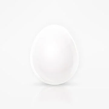 Realistic white egg vector Stock Illustration