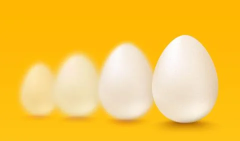 Realistic white eggs Stock Illustration