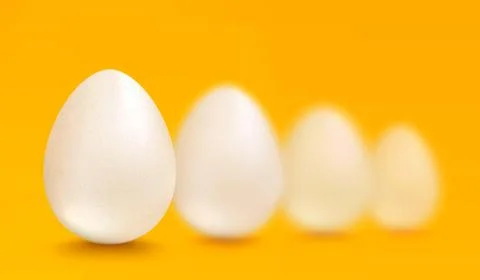 Realistic white eggs Stockillustratie