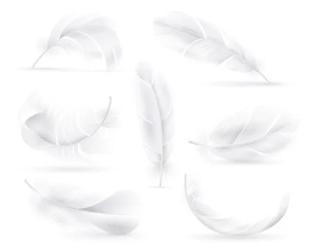 Realistic white feathers. Falling fluffy twirled bird or angel wings feathers Illustrazione stock