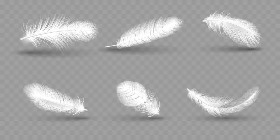 Realistic white soft goose feathers. Fluffy falling wing, bird plume, duck fluff Stock Illustration