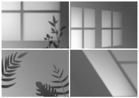 Realistic window shadow. Monstera leaves, palm branches and window frames 스톡 일러스트