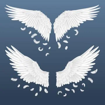 Realistic wings. White isolated pair of angel wings with falling feathers, 3D Ilustração Stock