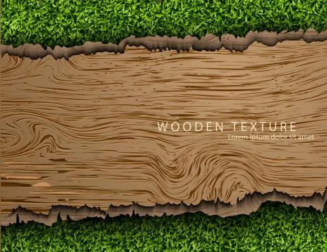 Realistic wood texture Stock Illustration
