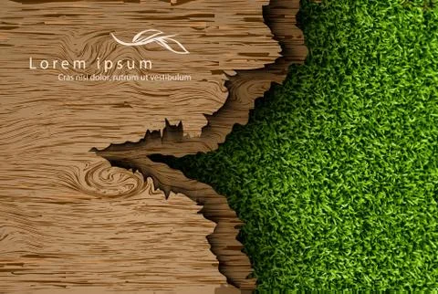 Realistic wood texture Stock Illustration