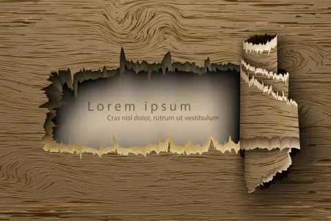 Realistic wood texture Stock Illustration