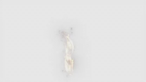 Realistic Wooden fire Stock Footage 200755307