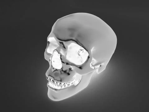 Realistic x-ray of human scull Stock Illustration