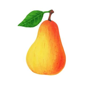 Realistic yellow pear with leaf isolated on white background. Vector illustra Illustrazione stock