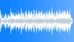 Reality Check Stock Music