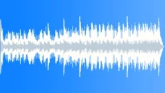 Reality Check Stock Music