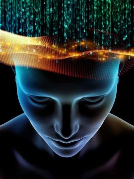 Reality of Consciousness イラスト素材