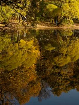 Reality reflections Stock Photos