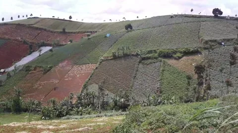 Really beautiful hillside atmosphere Video stock 237131040