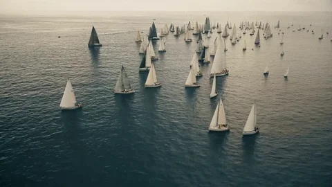 Really epic drone shot of a large group of sail boats  Stock Footage 83331788