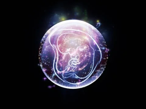 Realm of the Fetus Stock Illustration