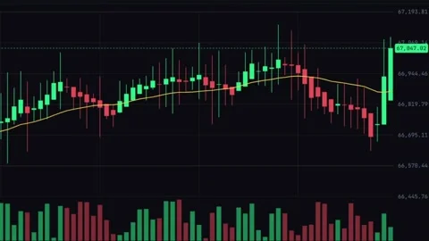 Realtime financial candlestick trading chart Vidéo 333310972