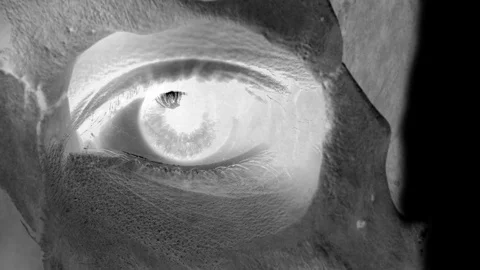 Realtime X-Ray scan of hslf female face. Medical examination Stock Footage 120866822