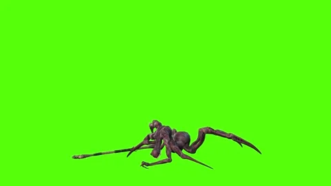 Reaper Death Green Screen Animation 3D R... | Stock Video | Pond5