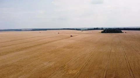 The reaping machine reaps wheat. The reaping machine is working in the field. Th Stock Footage 202540685