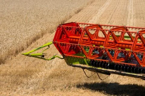 Reaping wheat field working. Stock Photos