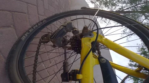 Rear Bicycle Wheel in Motion Stock Footage 237543368