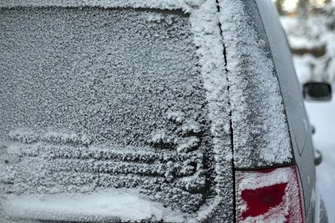 Rear of a car Фото