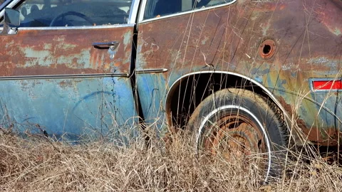 Rear Driver's Side Lower View Of Rusted Car In Tall Grass Stock Footage 300748370