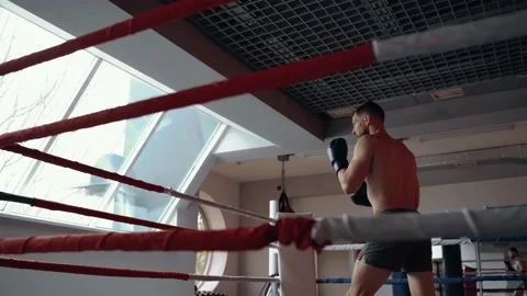 Rear frame of the handsome boxer boxing in the fight ring at the gym. Intense Stock Footage 156851668