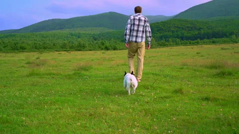 Rear guy with dog stroll on the meadow Stock Footage 137048725
