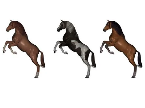 Rear horses イラスト素材