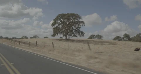 Rear left driving plate - Buena Vista Road at Mile 1, Dogtown Vídeo Stock 293485920