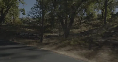 Rear left driving plate - Cherry Lake Road at Mile 3, Colfax Spring Stock Footage 295131357
