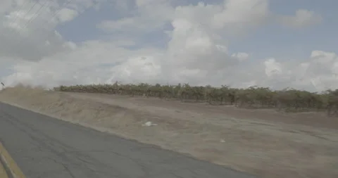 Rear left driving plate - Clay East Road at Kirkwood Street, Herald Vidéo 293574450